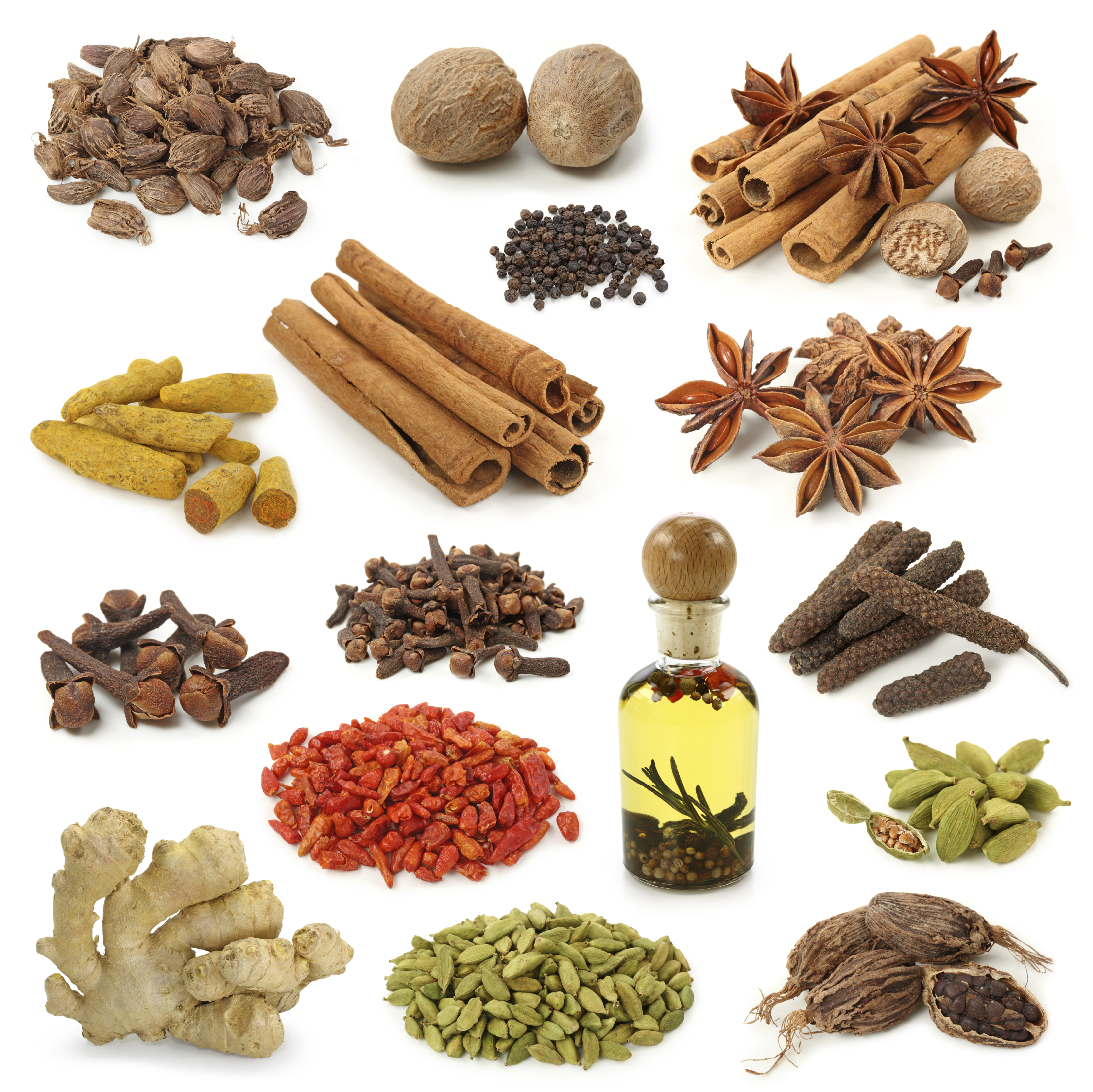 spice photos